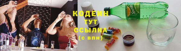 apvp Горняк