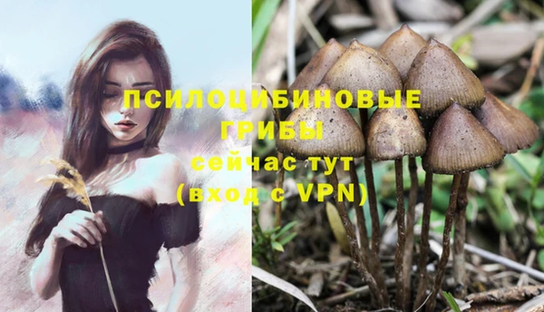 альфа пвп VHQ Гусь-Хрустальный